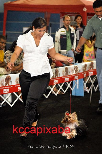 Clique sobre a foto para fechar